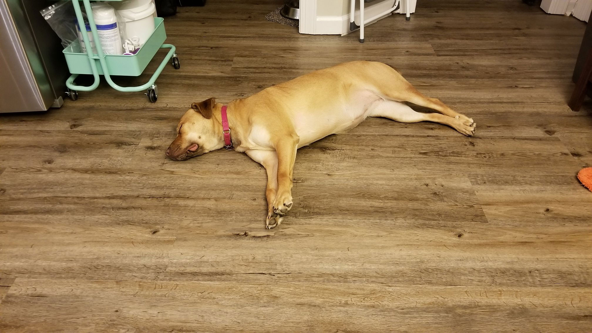 Durable Flooring