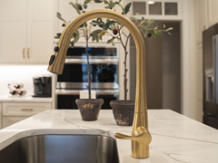 COLEMANRIDGECT_2