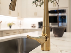 COLEMANRIDGECT_3
