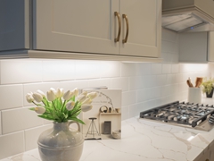 COLEMANRIDGECT_8