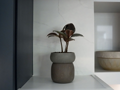 HARDENSTREET_19