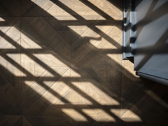 HARDENSTREET_48